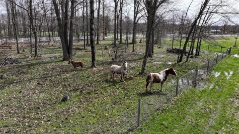 15050 Gingerich Road Middlefield OH 44062