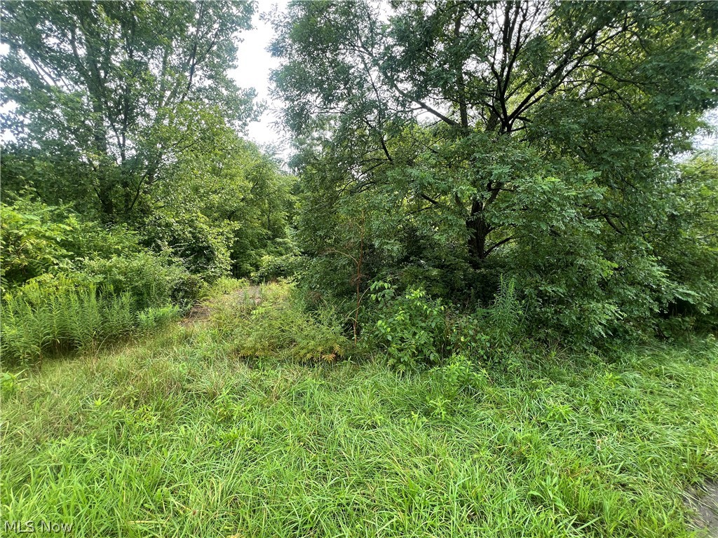 1093 S Home Road Mansfield OH 44906