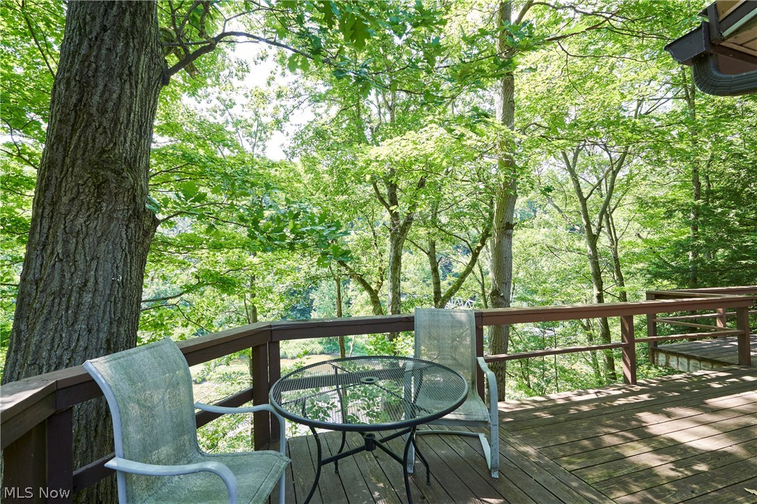 834 Clyde Hill Road Harpersfield OH 44041