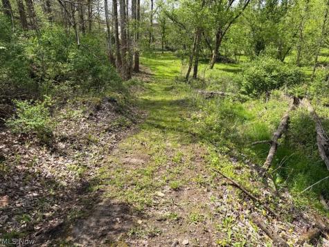 47341 Pitts Road Wellington OH 44090