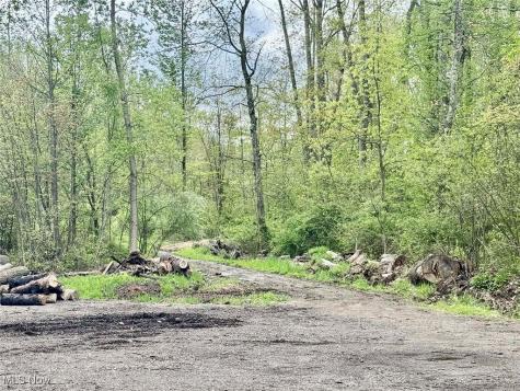 1134 E Turkeyfoot Lake Road Akron OH 44312