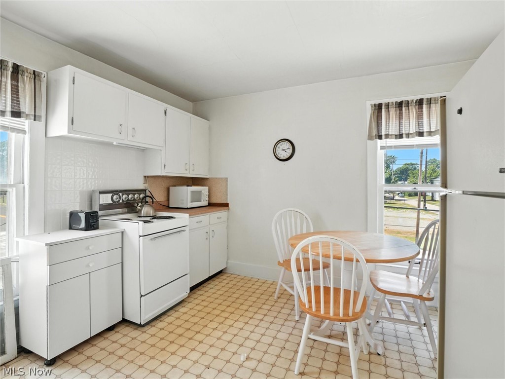 244 Mill Street Conneaut OH 44030