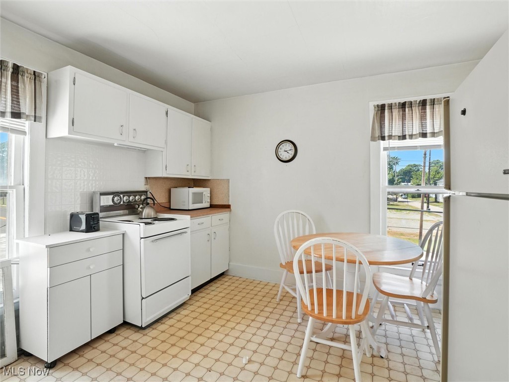 244 Mill Street Conneaut OH 44030