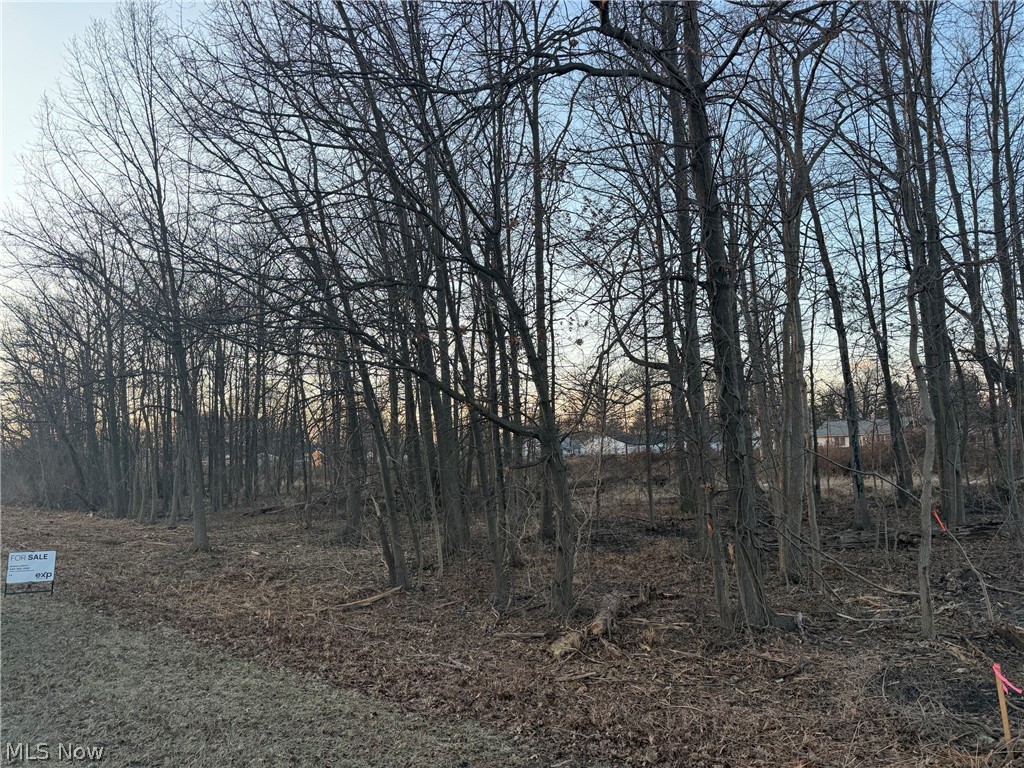 Liberty Avenue Vermilion OH 44089