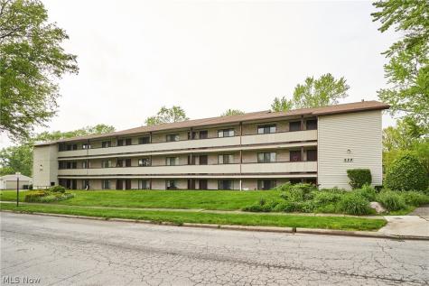 Rosamond Avenue Akron OH 44307