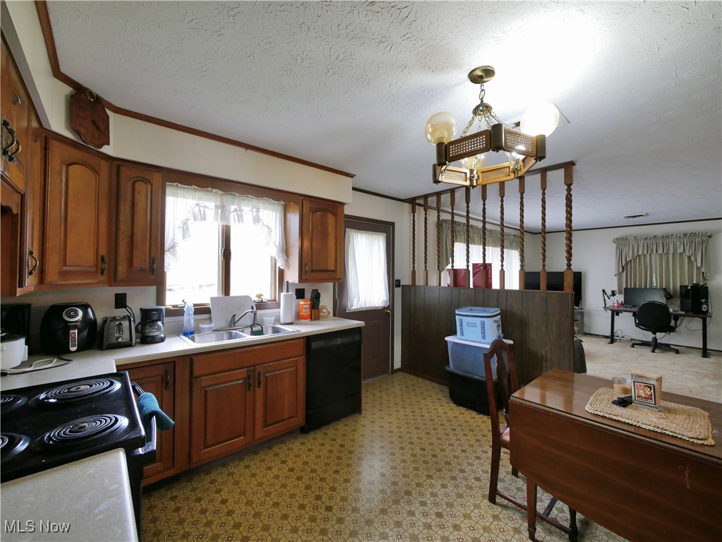 53261 East Captina Highway Powhatan Point OH 43942