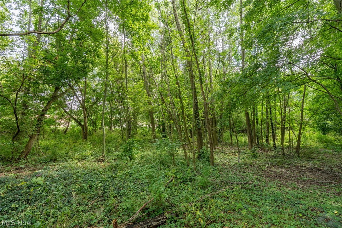 2320 Greensburg Road North Canton OH 44720