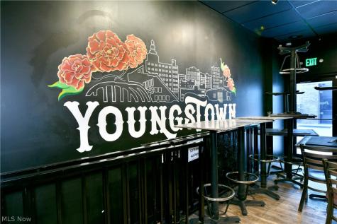 24 N Phelps Street Youngstown OH 44503