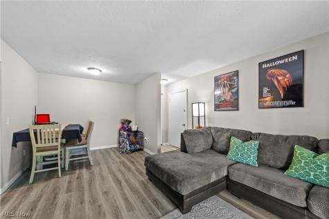 5216 E Lake Road Sheffield OH 44054
