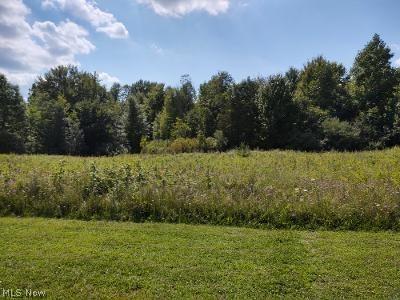 697 Main Street Grafton OH 44044