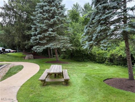 255 Park Place Chagrin Falls OH 44022