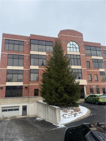 822 Kumho Drive Fairlawn OH 44333