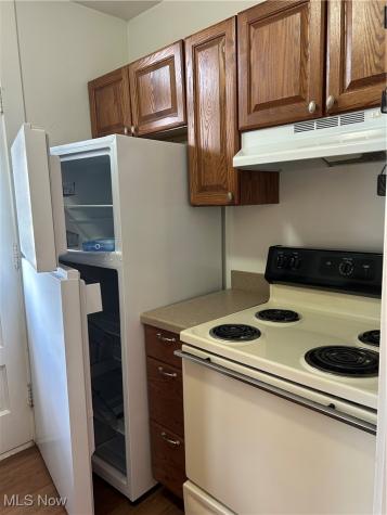 190 Mentor Avenue Painesville OH 44077