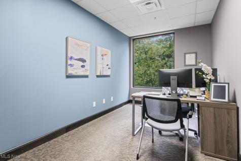 822 Kumho Drive Fairlawn OH 44333