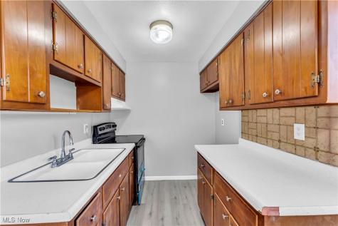 18809 Bella Drive Cleveland OH 44119