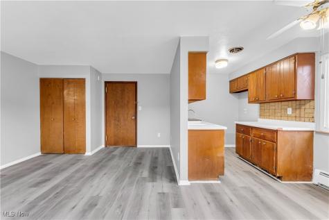 18809 Bella Drive Cleveland OH 44119