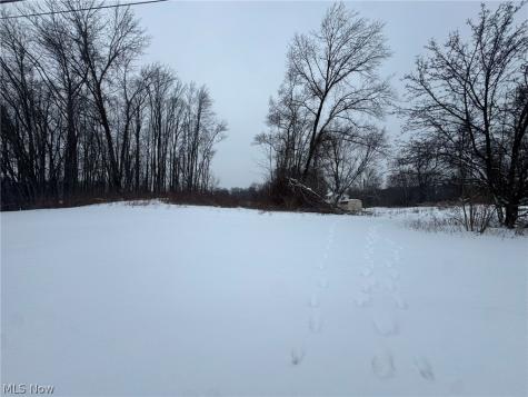 1441 E Turkeyfoot Lake Road Akron OH 44312