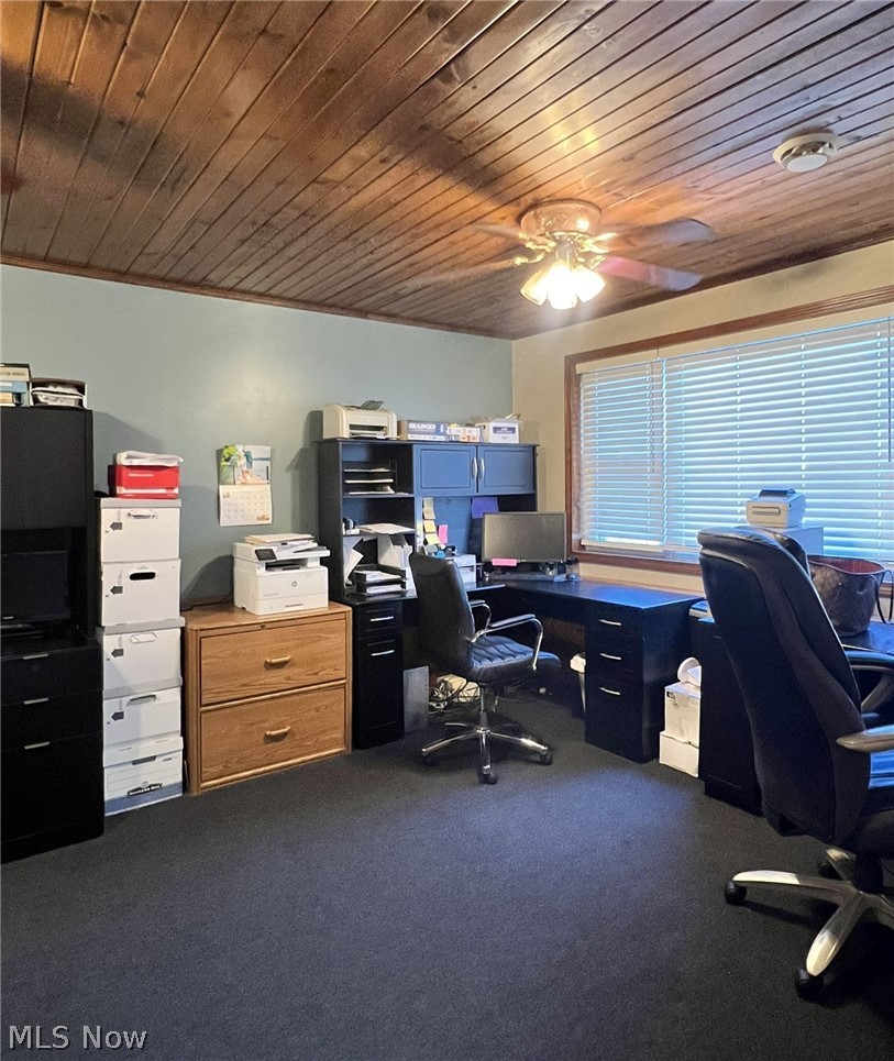 5551 E Calla Road New Middletown OH 44442