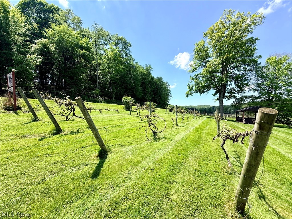 455 Schneiders Crossing Road NW Dover OH 44622