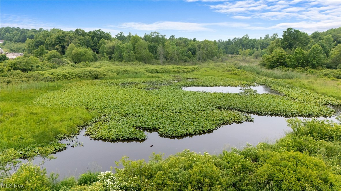 17094 Munn Road Chagrin Falls OH 44023