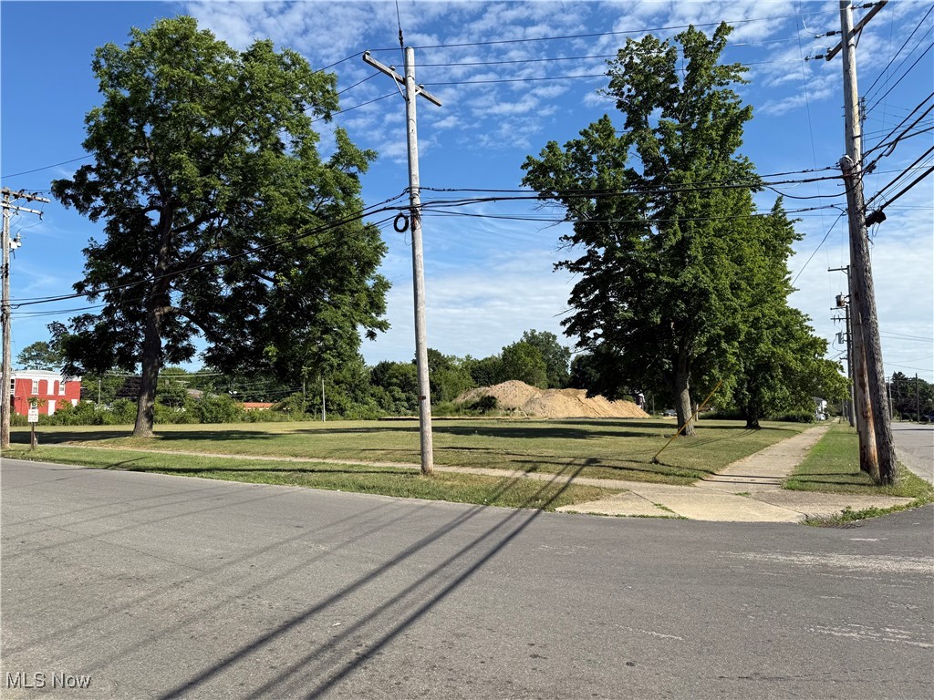 135 & 119 S Eagle Street Geneva OH 44041