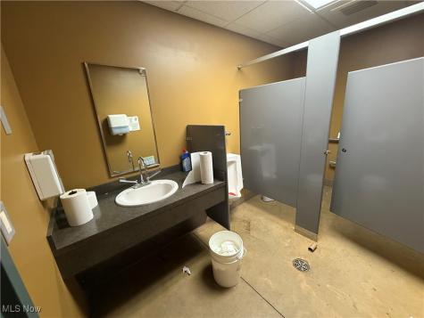 135 & 119 S Eagle Street Geneva OH 44041