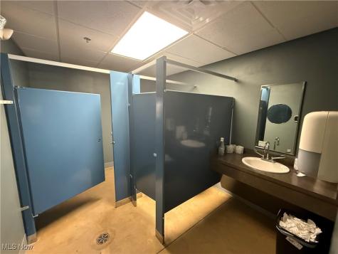 135 & 119 S Eagle Street Geneva OH 44041