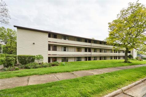 Rosamond Avenue Akron OH 44307