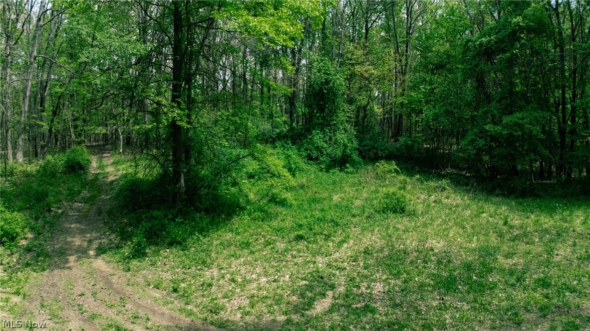 V/l Surfside Coventry OH 44319