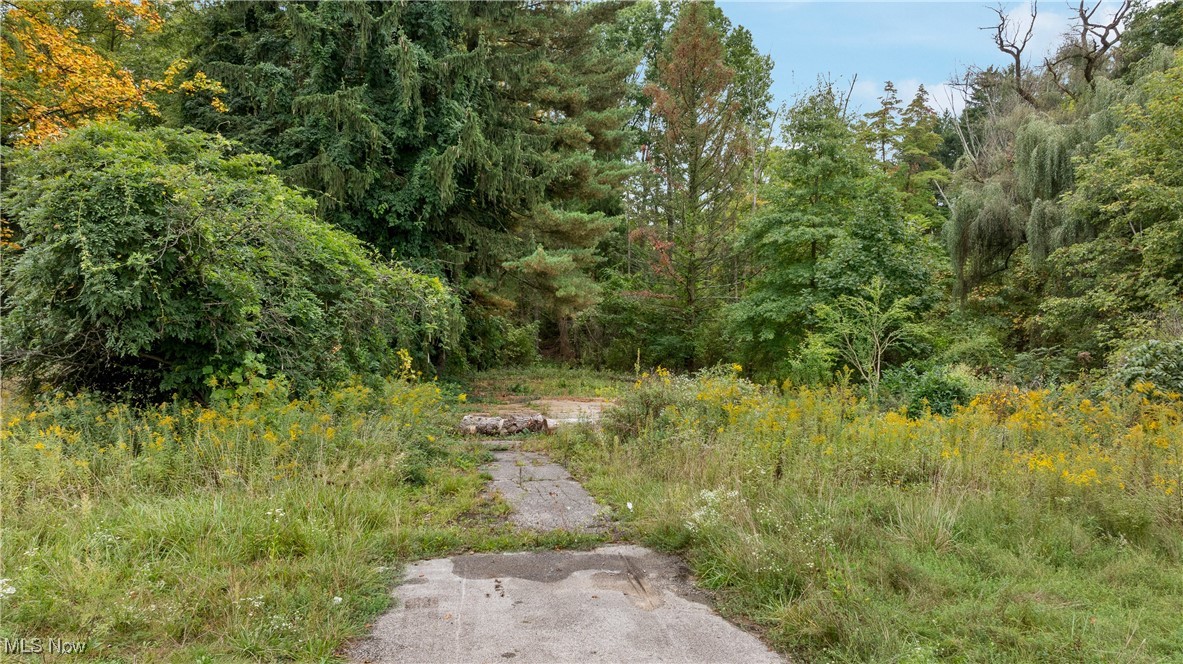 1356 E Turkeyfoot Lake Road Akron OH 44312