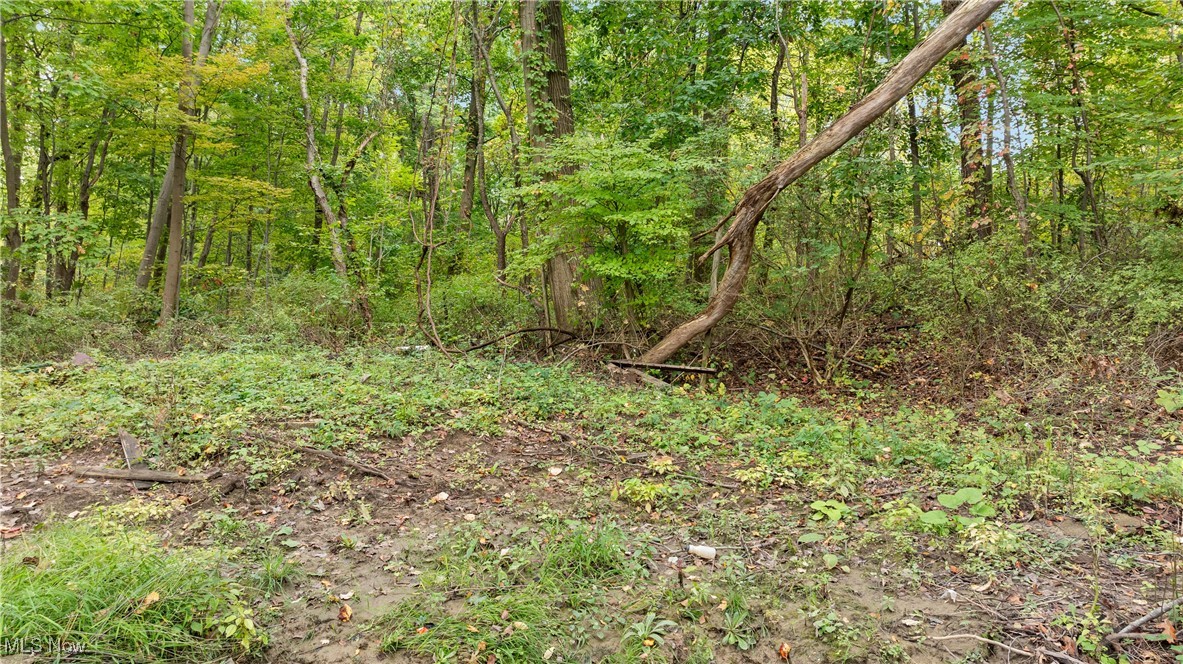 1356 E Turkeyfoot Lake Road Akron OH 44312