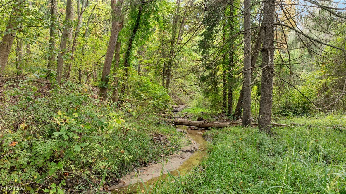 1356 E Turkeyfoot Lake Road Akron OH 44312