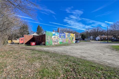 314 Pioneer Street Akron OH 44305