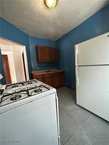 11013 Harvey Avenue Cleveland OH 44104