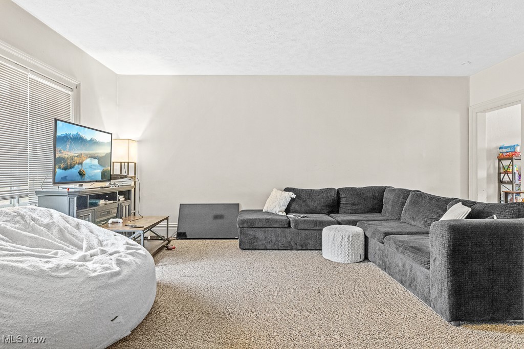 203 Glamorgan Street Alliance OH 44601