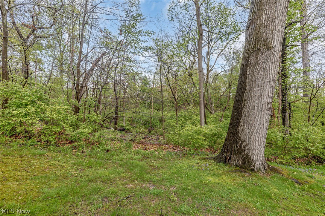 6919 W Fitzwater Road Brecksville OH 44141