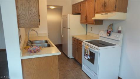 4362 Inner Circle Drive Brunswick OH 44212