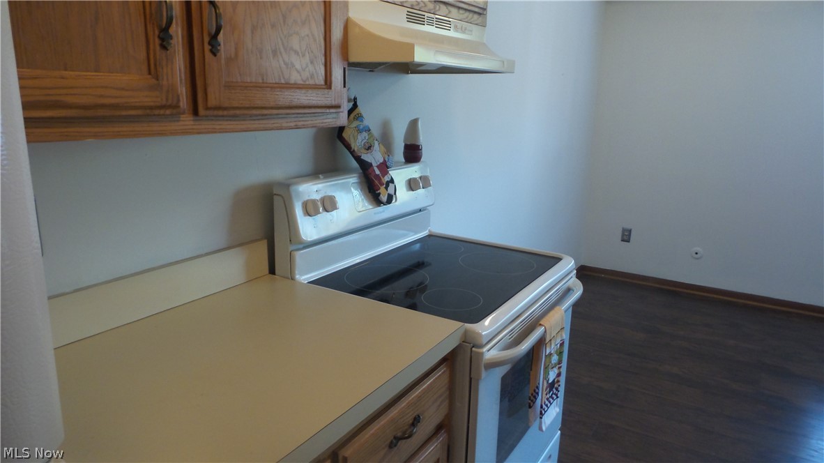 4362 Inner Circle Drive Brunswick OH 44212