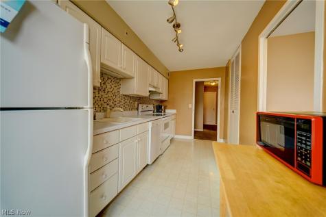 12520 Edgewater Drive Lakewood OH 44107