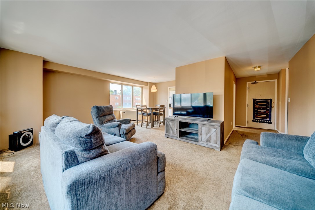 12520 Edgewater Drive Lakewood OH 44107