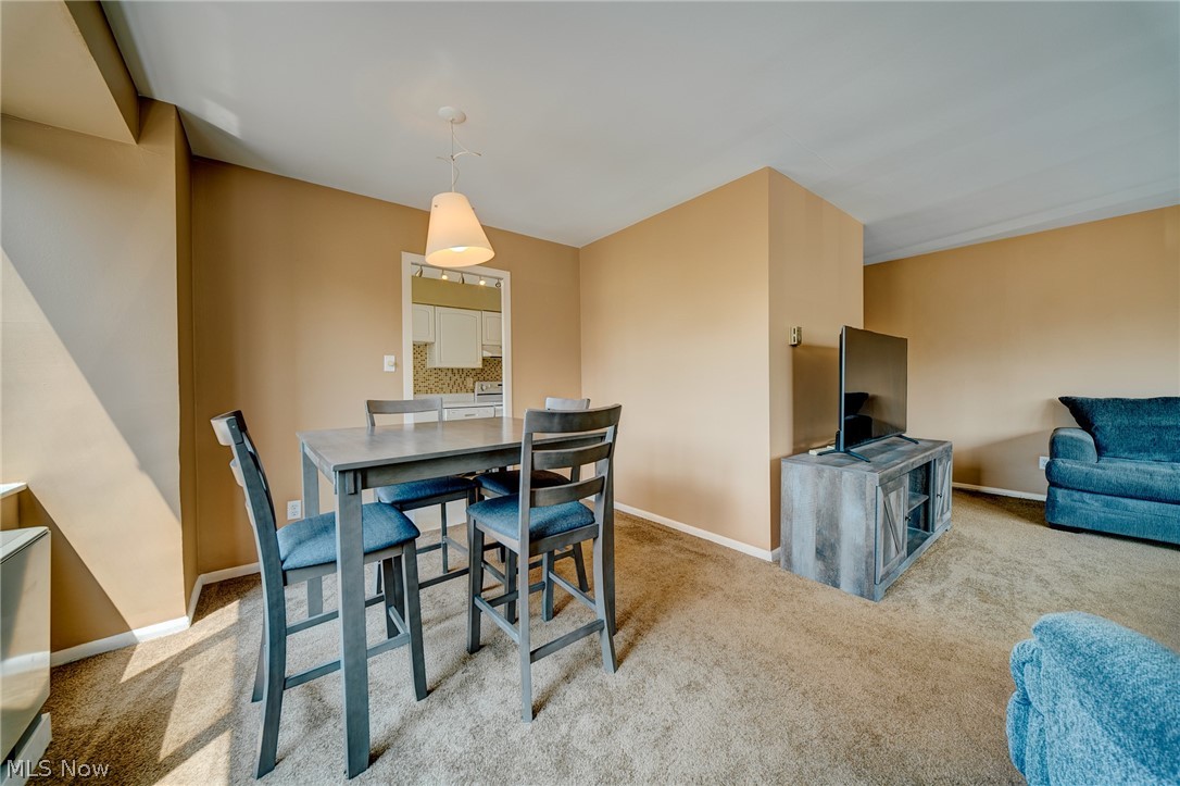 12520 Edgewater Drive Lakewood OH 44107