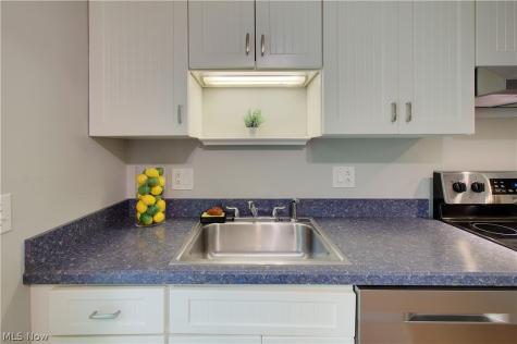 8225 Lancaster Drive Mentor OH 44060