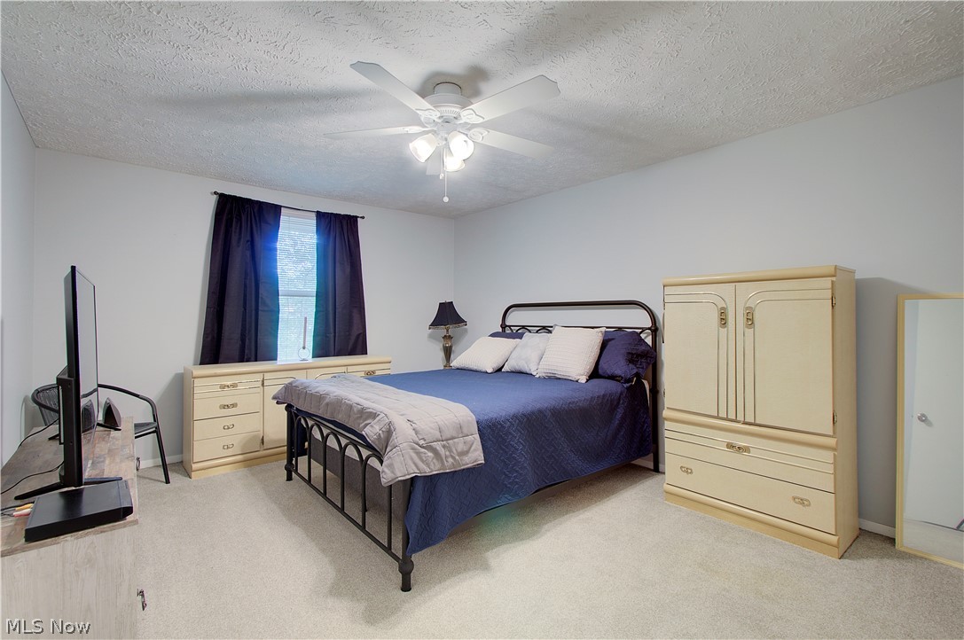 8225 Lancaster Drive Mentor OH 44060