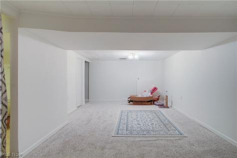 8225 Lancaster Drive Mentor OH 44060