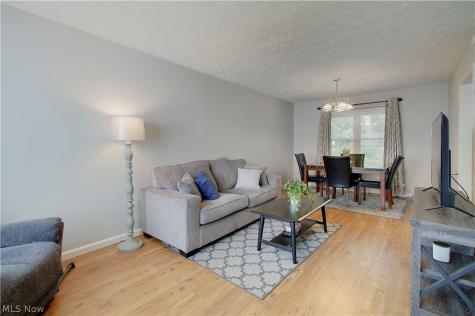8225 Lancaster Drive Mentor OH 44060