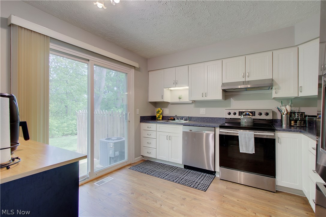 8225 Lancaster Drive Mentor OH 44060