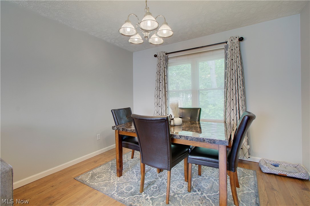 8225 Lancaster Drive Mentor OH 44060