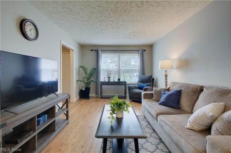 8225 Lancaster Drive Mentor OH 44060