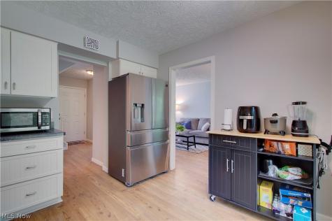 8225 Lancaster Drive Mentor OH 44060