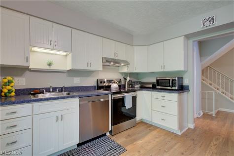 8225 Lancaster Drive Mentor OH 44060